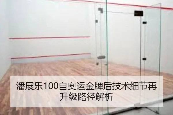 潘展乐100自奥运金牌后技术细节再升级路径解析
